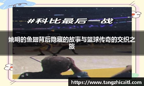 姚明的鱼翅背后隐藏的故事与篮球传奇的交织之旅