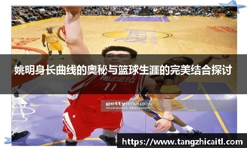 姚明身长曲线的奥秘与篮球生涯的完美结合探讨