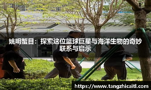 姚明蟹目：探索这位篮球巨星与海洋生物的奇妙联系与启示