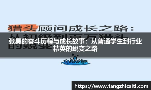 张昊的奋斗历程与成长故事：从普通学生到行业精英的蜕变之路